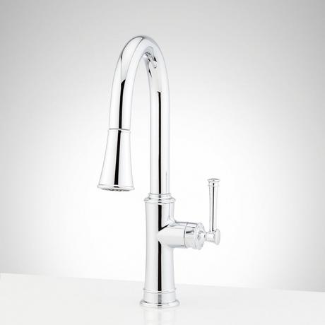 Beasley Single-Hole Pull-Down Kitchen Faucet